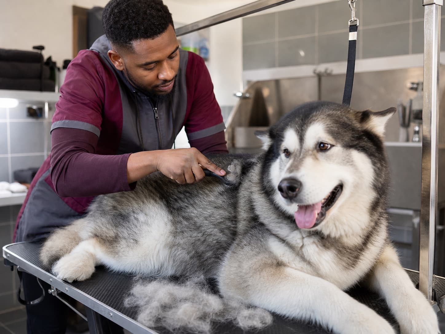 De-shedding for a UK dog groomer business