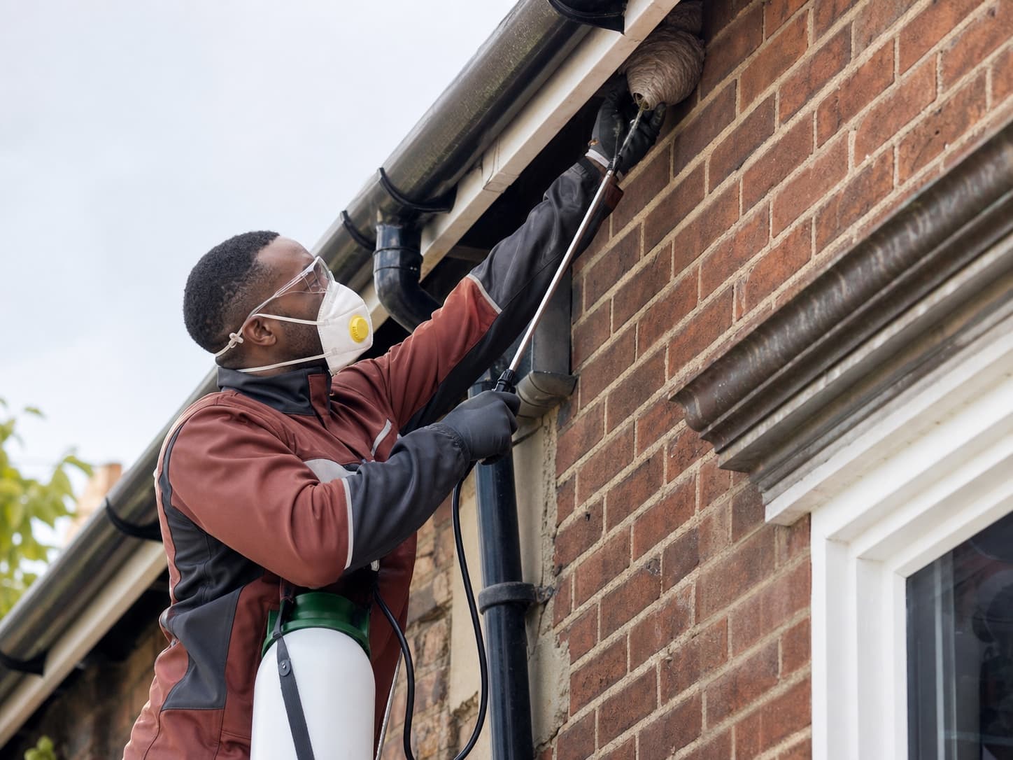 Wasp nests for a UK pest-control technician business
